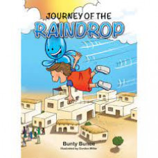 Journey of the Raindrop - Bunty Bunce